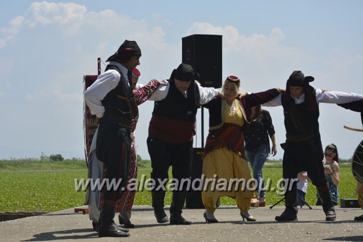 alexandriamou.gr_trikala28.5.2018033